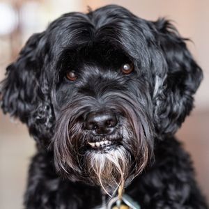 Meet your Posher, Ted